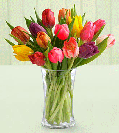 flowers_tulip_mixed