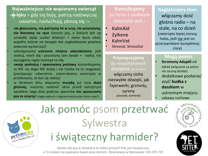 2013-PBT-ŁŁ-PS-SylwesterPsy